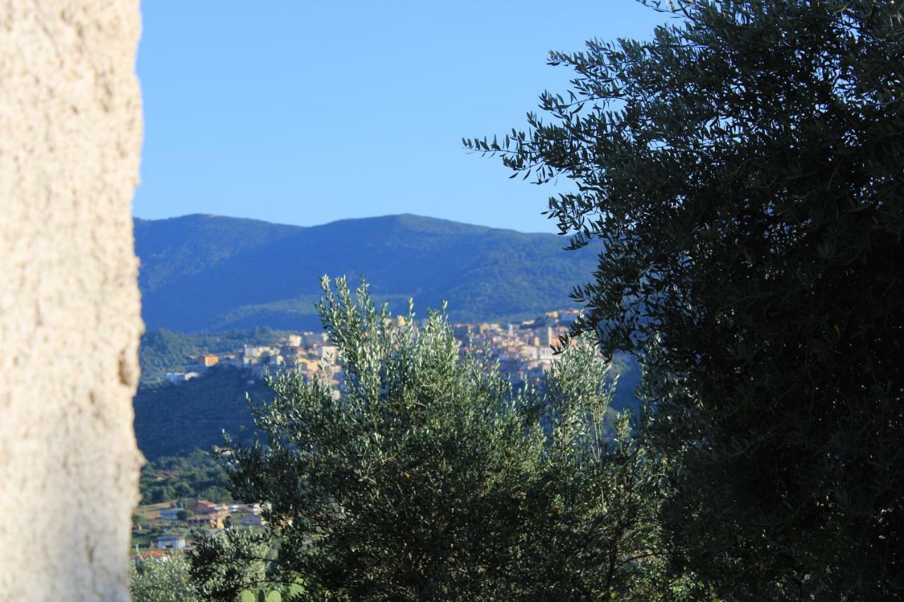 Villa Casale degli Ulivi Roccadaspide Esterno foto